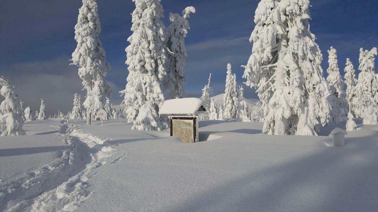 Apartman Medvedin 306 Spindleruv Mlyn Exterior photo